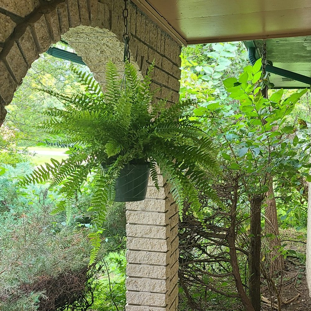 Meet your Posher, Robina